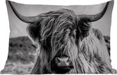 Buitenkussens - Tuin - Koe - Schotse hooglander - Zwart - Wit - Dier - Natuur - Wild - 50x30 cm