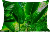 Buitenkussens - Tuin - Tropische bladeren in jungle fotoprint - 50x30 cm