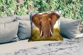 Sierkussen Buiten - Afrikaanse olifant vooraanzicht - 60x60 cm - Weerbestendig