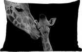 Buitenkussens - Dieren - Zwart - Wit - Giraffe - Portret - 60x40 cm - Weerbestendig