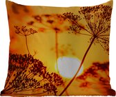 Coussin de jardin - Plantes - Fleurs - Coucher de soleil - Oranje - 40x40 cm - Résistant aux intempéries