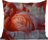 Coussin d'extérieur - Flamingo - Vogel - Animaux - Rose - 45x45 cm - Résistant aux intempéries