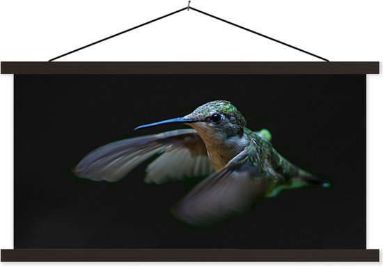 Porte-affiche avec affiche - Affiche scolaire - Colibri - Vogel - Ressorts - Zwart - 150x75 cm - Lattes noires