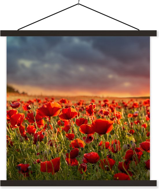 Porte-affiche avec affiche - Affiche scolaire - Coucher de soleil sur un champ plein de coquelicots - 60x60 cm - Lattes noires