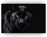 Zwarte panter - Donker schilderijen canvas - Schilderij panter - Landelijke schilderijen - Muurdecoratie canvas - Muurdecoratie - 60 x 40 cm 18mm