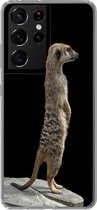 Coque Samsung Galaxy S21 Ultra - Suricate - Animaux Sauvages - Zwart - Siliconen