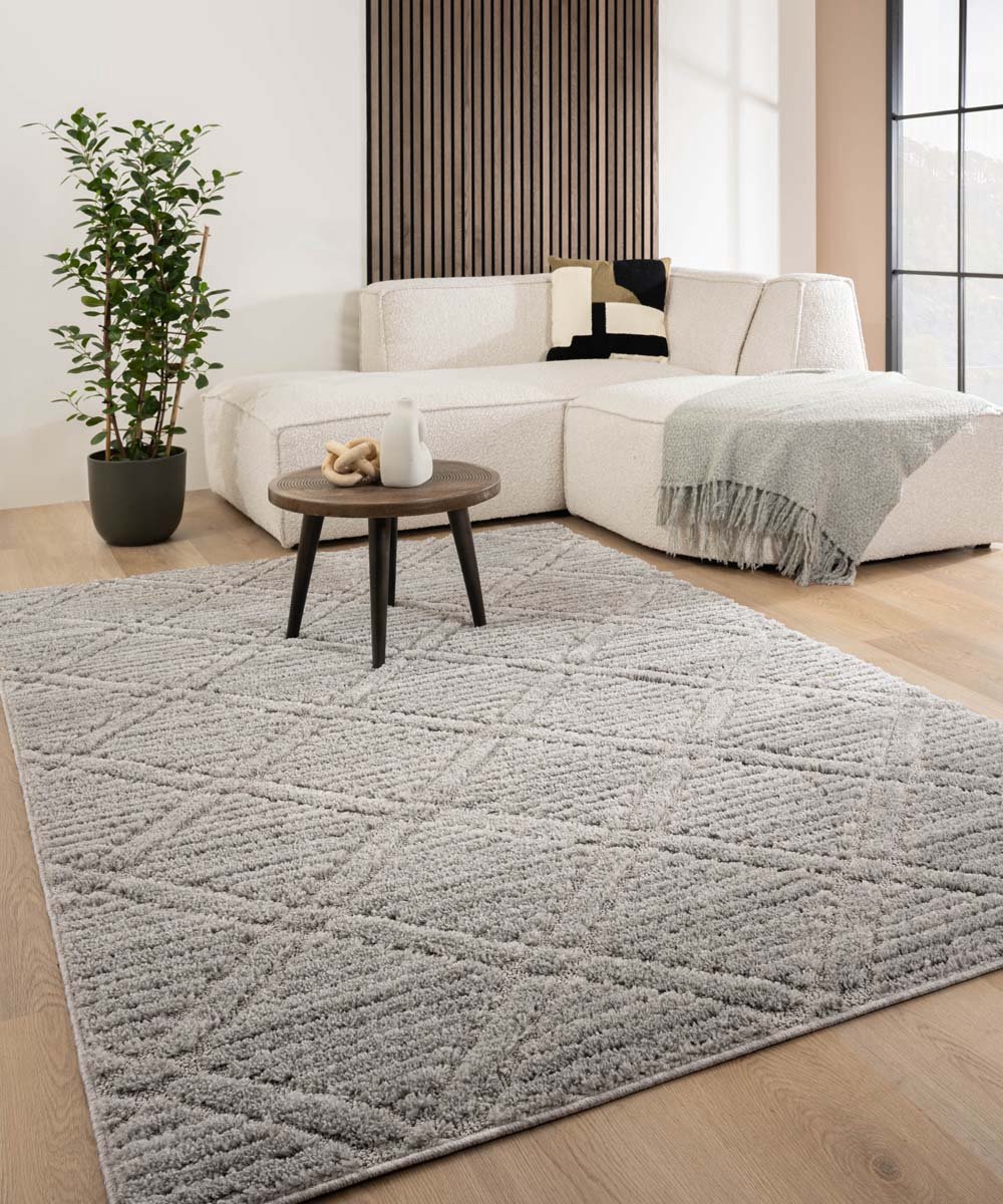 Tapeso Scandinavisch vloerkleed - Arc Gem lichtgrijs 300x400