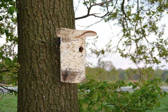Vogelhuis Pimpelmees - Nestkast - Berkenhout van Merkloos	 — afbeelding 3