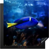 KitchenYeah® Inductie beschermer 78x78 cm - Blauwe vis in aquarium - Kookplaataccessoires - Afdekplaat voor kookplaat - Inductiebeschermer - Inductiemat - Inductieplaat mat