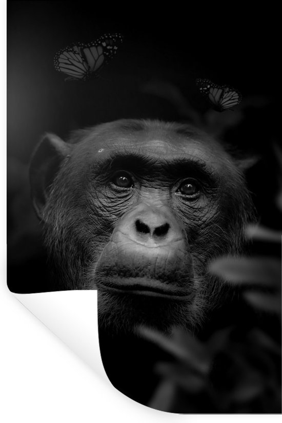 Muurstickers - Sticker Folie - Portret van een aap met vlinders in de jungle - zwart wit - 80x120 cm - Plakfolie - Muurstickers Kinderkamer - Zelfklevend Behang - Zelfklevend behangpapier - Stickerfolie