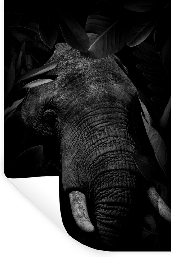Muurstickers - Sticker Folie - Botanische olifant met bladeren op zwarte achtergrond - zwart wit - 20x30 cm - Plakfolie - Muurstickers Kinderkamer - Zelfklevend Behang - Zelfklevend behangpapier - Stickerfolie