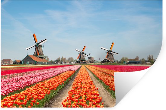 Muurstickers - Sticker Folie - Tulpen - Windmolen - Nederland - 120x80 cm - Plakfolie - Muurstickers Kinderkamer - Zelfklevend Behang - Zelfklevend behangpapier - Stickerfolie