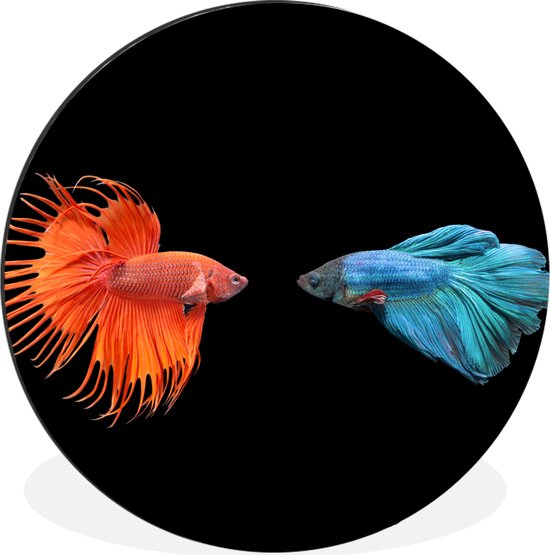 Cercle mural - Cercle mural - Poisson - Animaux sauvages - Zwart - Aluminium - ⌀ 30 cm - Intérieur et Extérieur