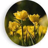 Artaza Forex Muurcirkel Gele Tulpen - Bloemen - 90x90 cm - Groot - Wandcirkel - Rond Schilderij - Muurdecoratie Cirkel