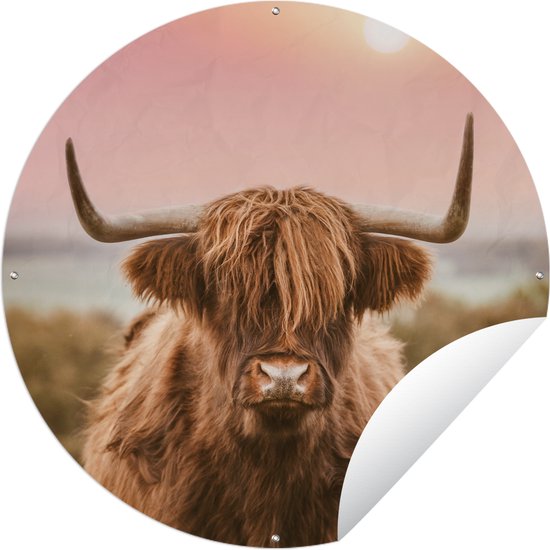 Tuincirkel Natuur - Schotse hooglander - Roze - 60x60 cm - Ronde Tuinposter - Buiten