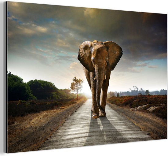 Décoration murale Métal - Aluminium Peinture Industrielle - Éléphant - Route - Animaux - Coucher de soleil - Paysage - 150x100 cm - Dibond - Photo sur aluminium - Décoration murale industrielle - Pour le salon / chambre