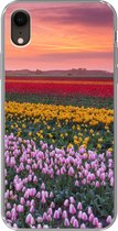Geschikt voor iPhone XR hoesje - Paarse tulpen in Nederland - Siliconen Telefoonhoesje