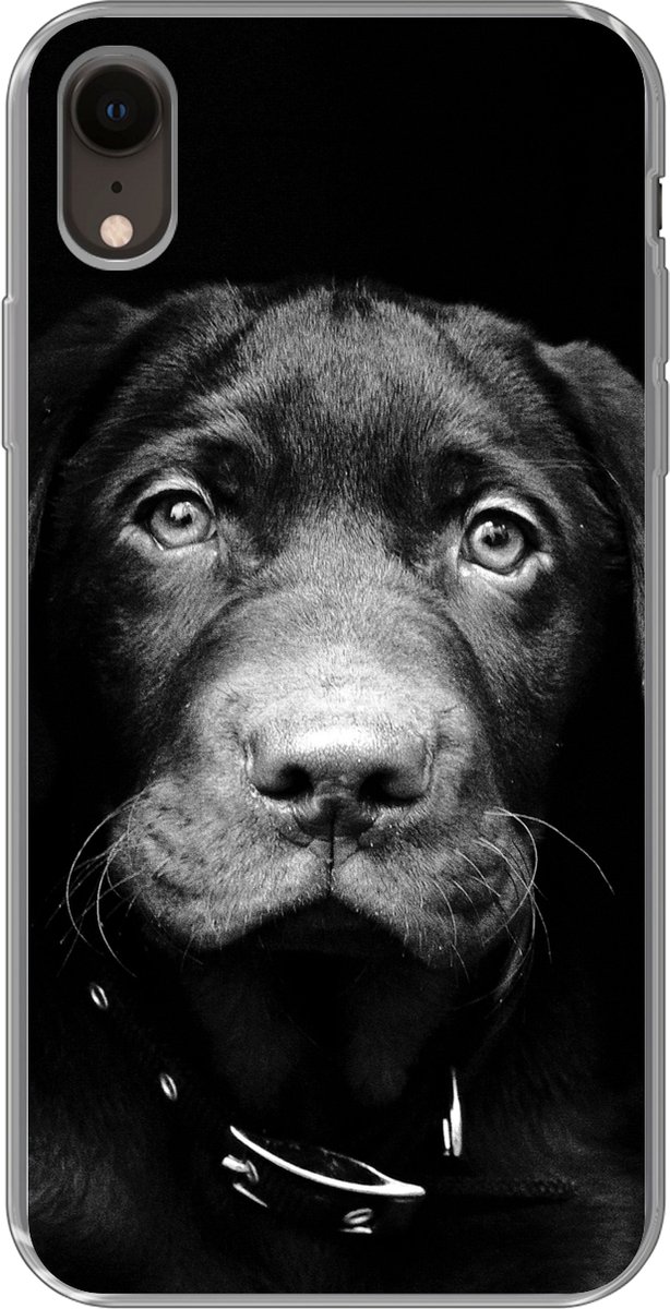 Telefoonhoesje Geschikt voor iPhone XR hoesje - Hond - Licht - Zwart - Siliconen Telefoonhoesje Telefoonhoesje