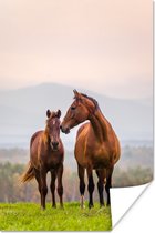 Poster Paard - Veulen - Gras - Pastel - 20x30 cm