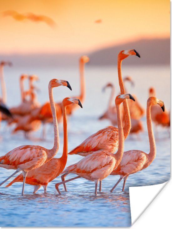 Poster - Fotolijst - Flamingo - Zonsondergang - Vogel - Tropisch - Kader - 30x40 cm - Poster frame - Poster flamingo - Poster dieren - Foto in lijst - Kamer decoratie