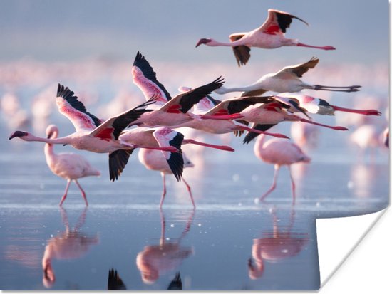 Poster - Fotolijst - Flamingo - Zee - Water - Vogel - Tropical - Frame - 160x120 cm - Poster met lijst - Posterlijst - Poster flamingo - Poster kader - Muurdecoratie