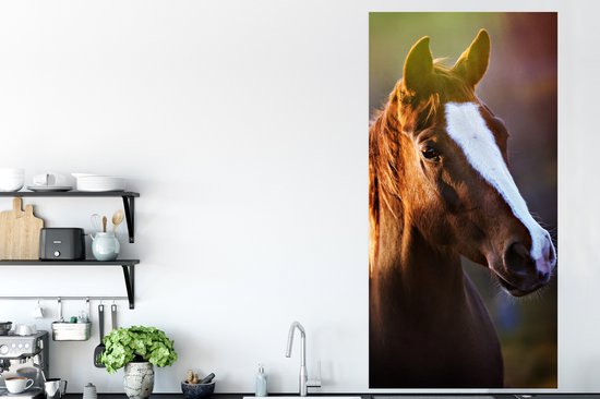 Affiche Cheval - Léger - Fourrure - 80x160 cm