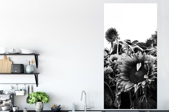 Affiche Tournesols aux Nederland noir et blanc - 80x160 cm