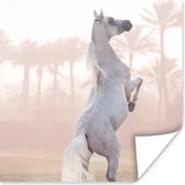 Poster Paard - Zand - Palmboom - 50x50 cm