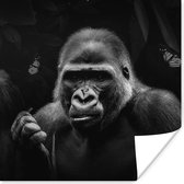 Poster Dieren - Aap - Gorilla - Zwart - Wit - 50x50 cm