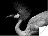 Poster Kraanvogel - Zwart - Wit - Vogel - Dieren - 40x30 cm