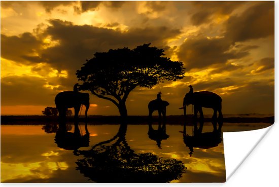 Poster Silhouet van Thaise olifanten tijdens zonsopgang - 90x60 cm