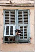 Chien regardant à travers une trappe affiche de jardin toile en vrac 80x120 cm - Toile de jardin / Toile d'extérieur / Peintures pour l'extérieur (décoration de jardin)