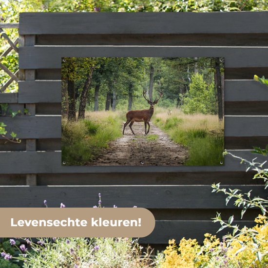 Affiche de jardin Forêt - Cerf - Arbres - 120x80 cm - Jardin
