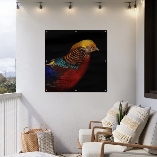 Affiche de jardin Faisan doré sur fond noir Toile en vrac 100x100 cm - Toile de jardin / Toile d'extérieur / Peintures d'extérieur (décoration de jardin)