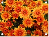 Tuin decoratie Bloemen - Oranje - Chrysant - 40x30 cm - Tuindoek - Buitenposter