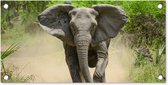 Tuinposter Rennende olifant - 60x30 cm - Tuindoek - Buitenposter