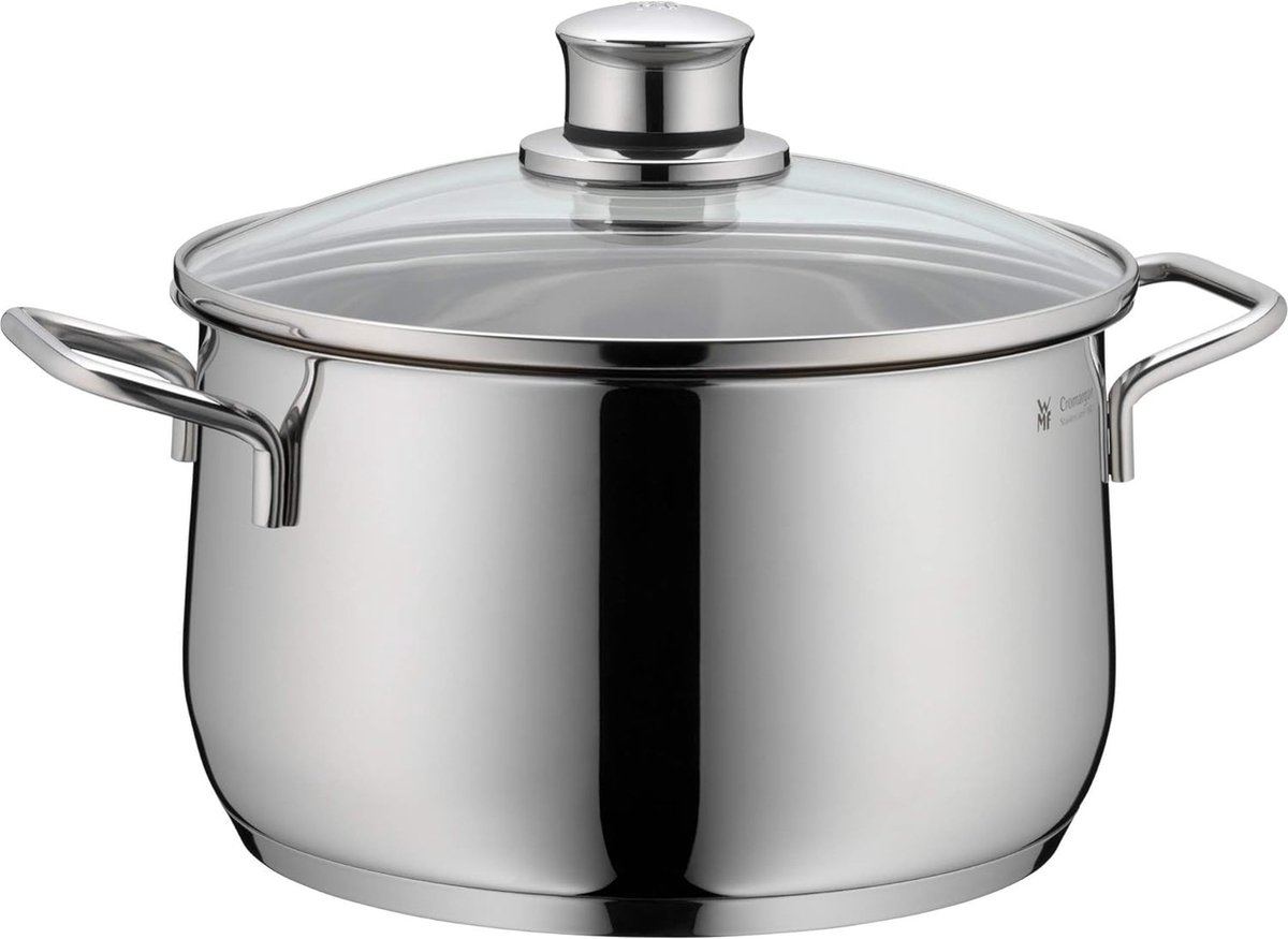 Kook- braadpan met glazen deksel zilver 20 cm