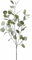 Emerald Kunstbloem Eucalyptus tak - 87 cm - groen - losse steel - Kunst zijdebloemen