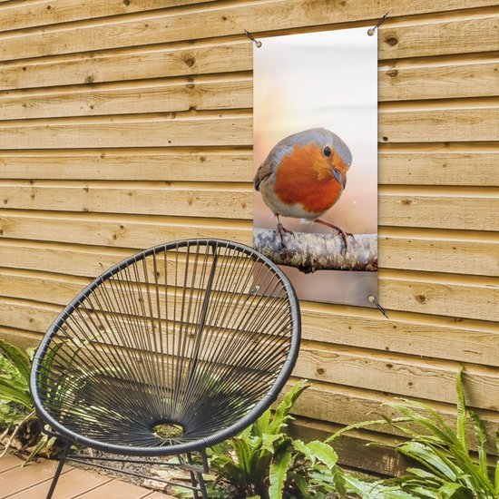 Affiche de jardin Robin - Branche - Arbre - 40x80 cm - Décoration murale Extérieur - Affiche de jardin - Toile de jardin - Affiche de clôture - Peinture de jardin