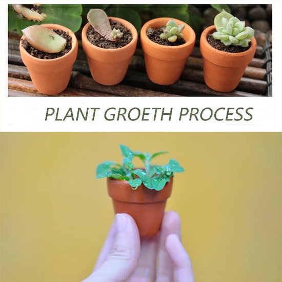 Lot De 20 Mini Pots En Terre Cuite 3x3cm - Avec Trous De Drainage - Pour Succulentes, Semis Et DIY - 3