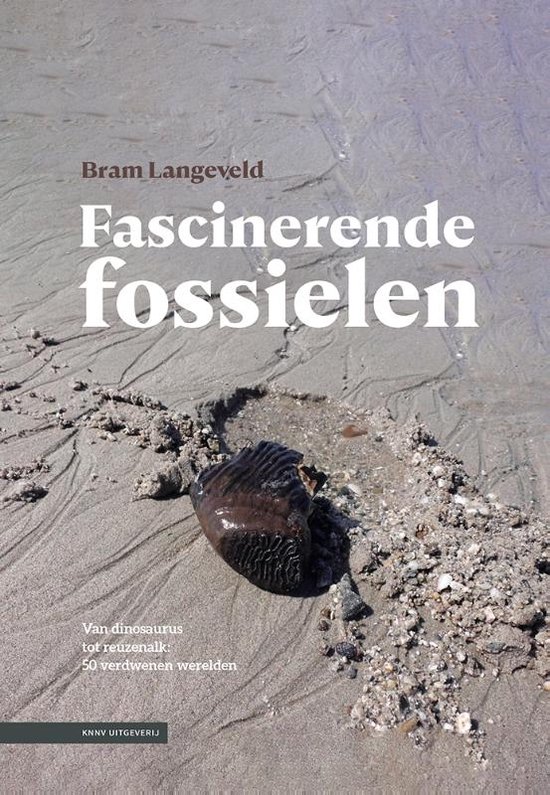 Foto: Fascinerende fossielen