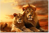 Muurdecoratie Leeuwen - Zonsondergang - Afrika - Savanne - Dieren - 180x120 cm - Tuinposter - Tuindoek - Buitenposter