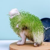 Gift Republic Bloempot met Chia Zaadjes - Chia-saurus Rex