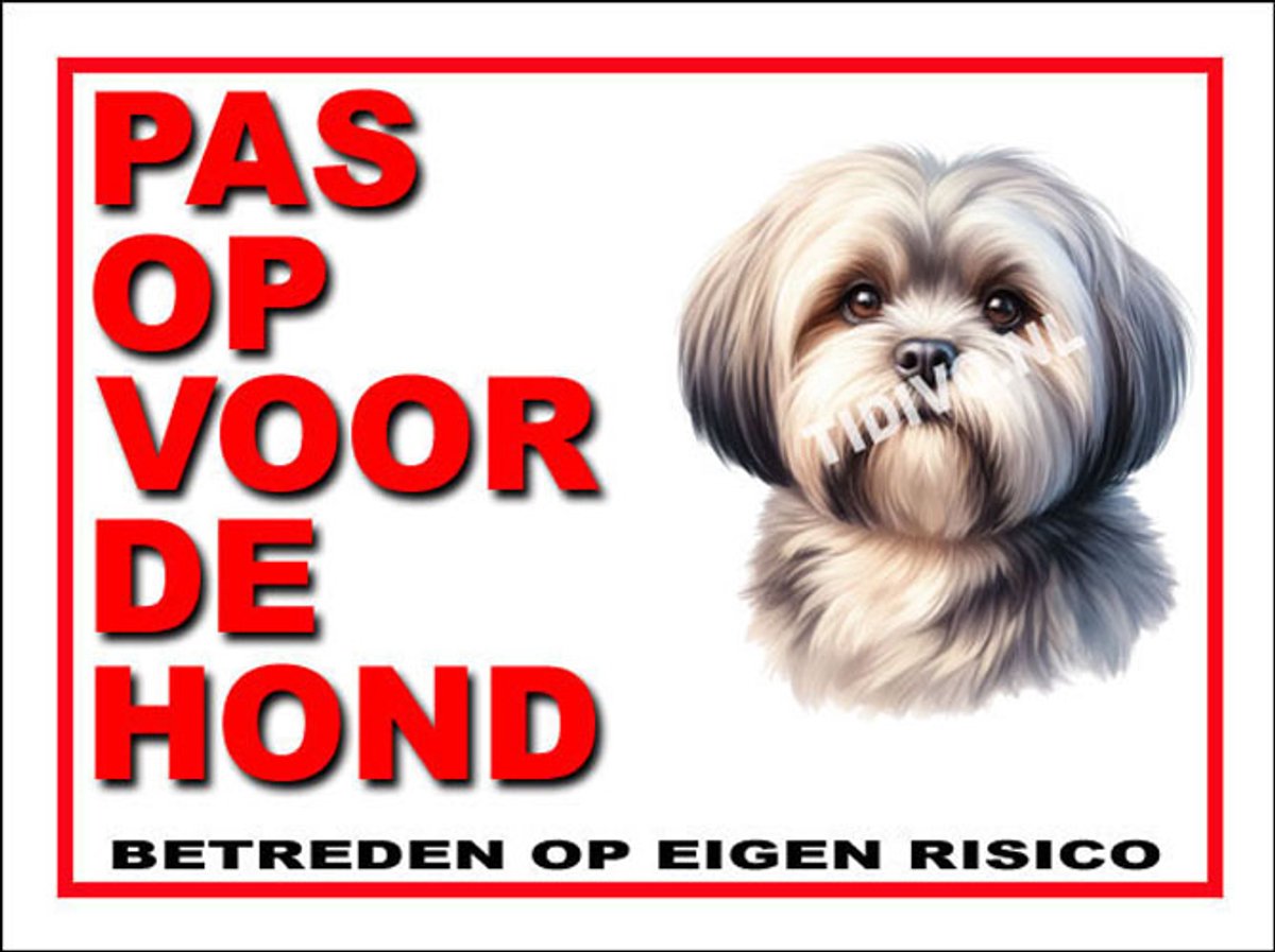 Lhasa Apso 13