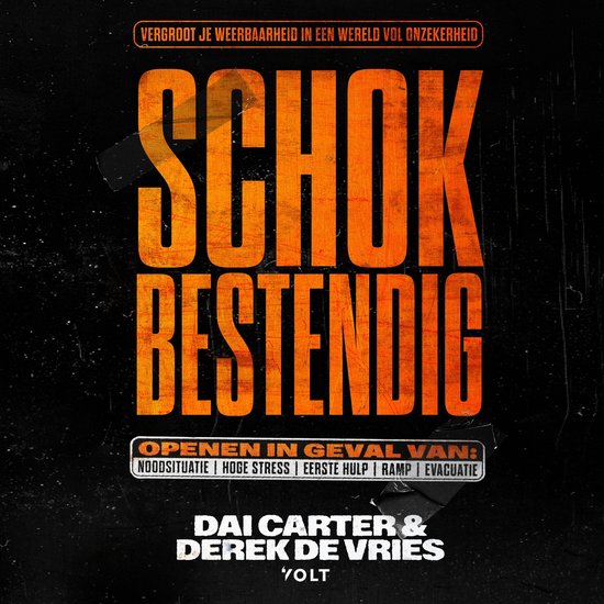 Schokbestendig - cover