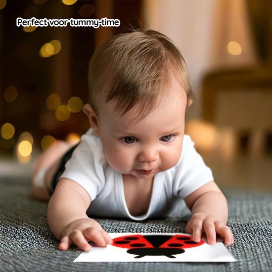 Visuele Stimulatiekaarten Baby 3-6 Maanden - Zwart-Wit Contrast voor Optimale Breinontwikkeling - Waterafstotend, Veilig & Duurzaam - 20 Dubbelzijdige Kaarten (14x14 cm) van Merkloos — afbeelding 3