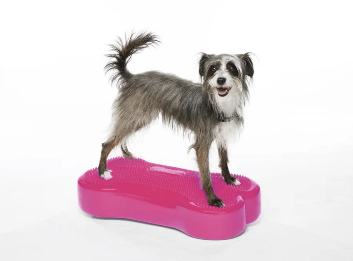 Fitpaws K9fitbone - Balansspeelgoed - Pvc - Razzleberry - 58X29x10cm
