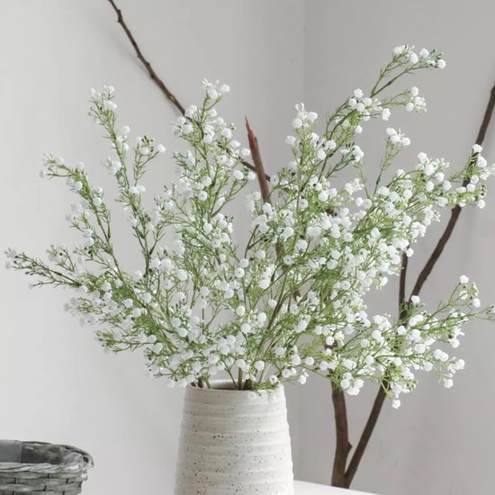 Is Baby S Breath Native To Australia at Harrison Greenwood blog