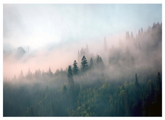 WALLARENA - Fotobehang - 200x140 cm - Natuurlijke wandtapijt met een mistig bos voor slaapkamer en woonkamer