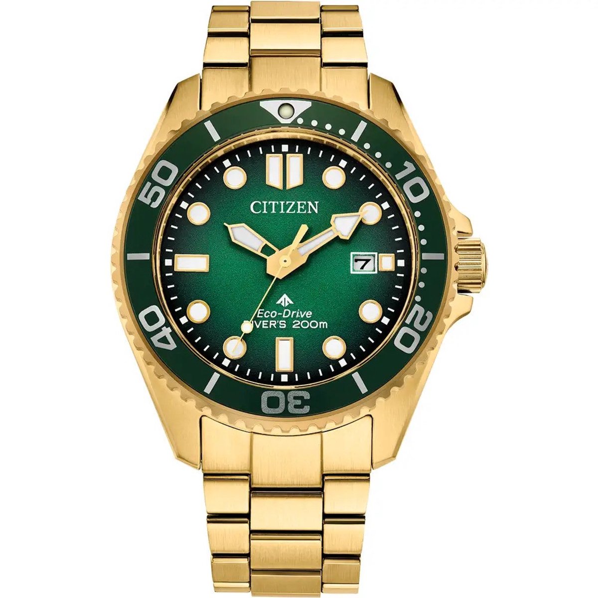 Citizen Promaster Dive BN0262-59W Horloge - Staal - Goudkleurig - Ø 41 mm